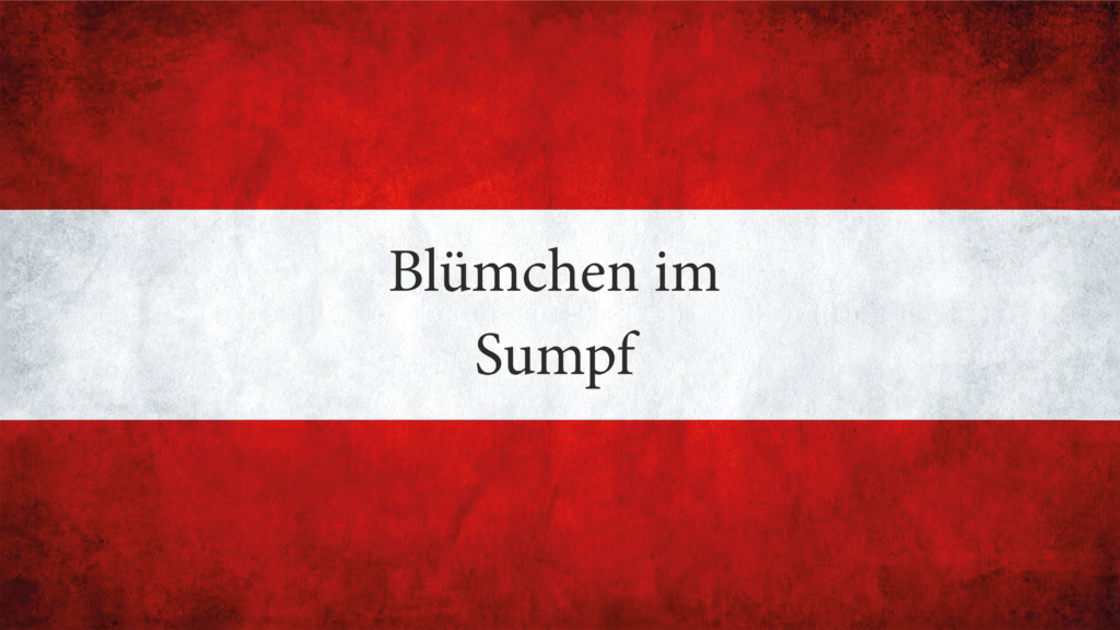 Read more about the article Blümchen im Sumpf